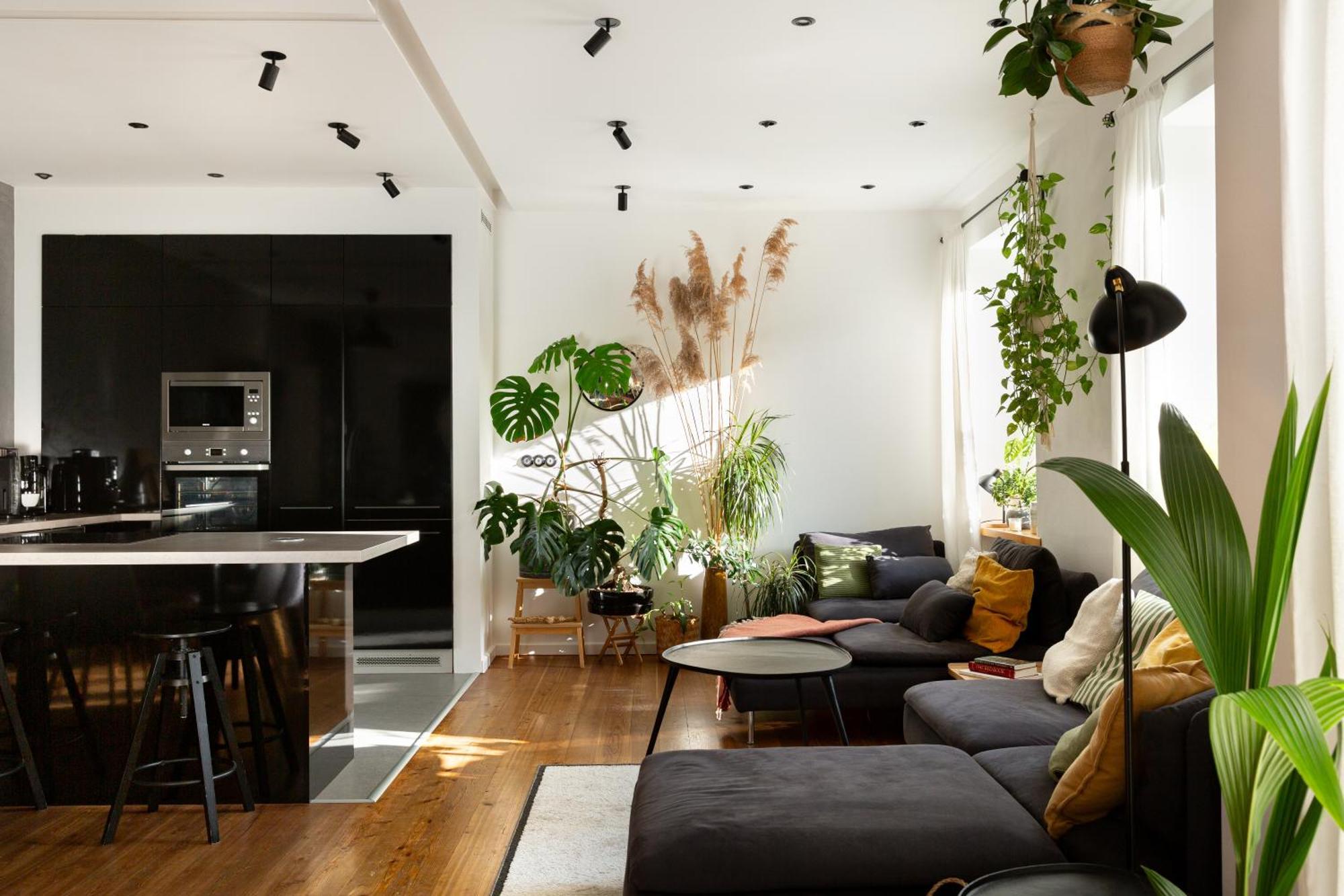 Evergreen - Old Town Spacious Stylish Apartment With Ac And One And A Half Bath, Baby & Kid- Friendly Bratislava Exteriör bild