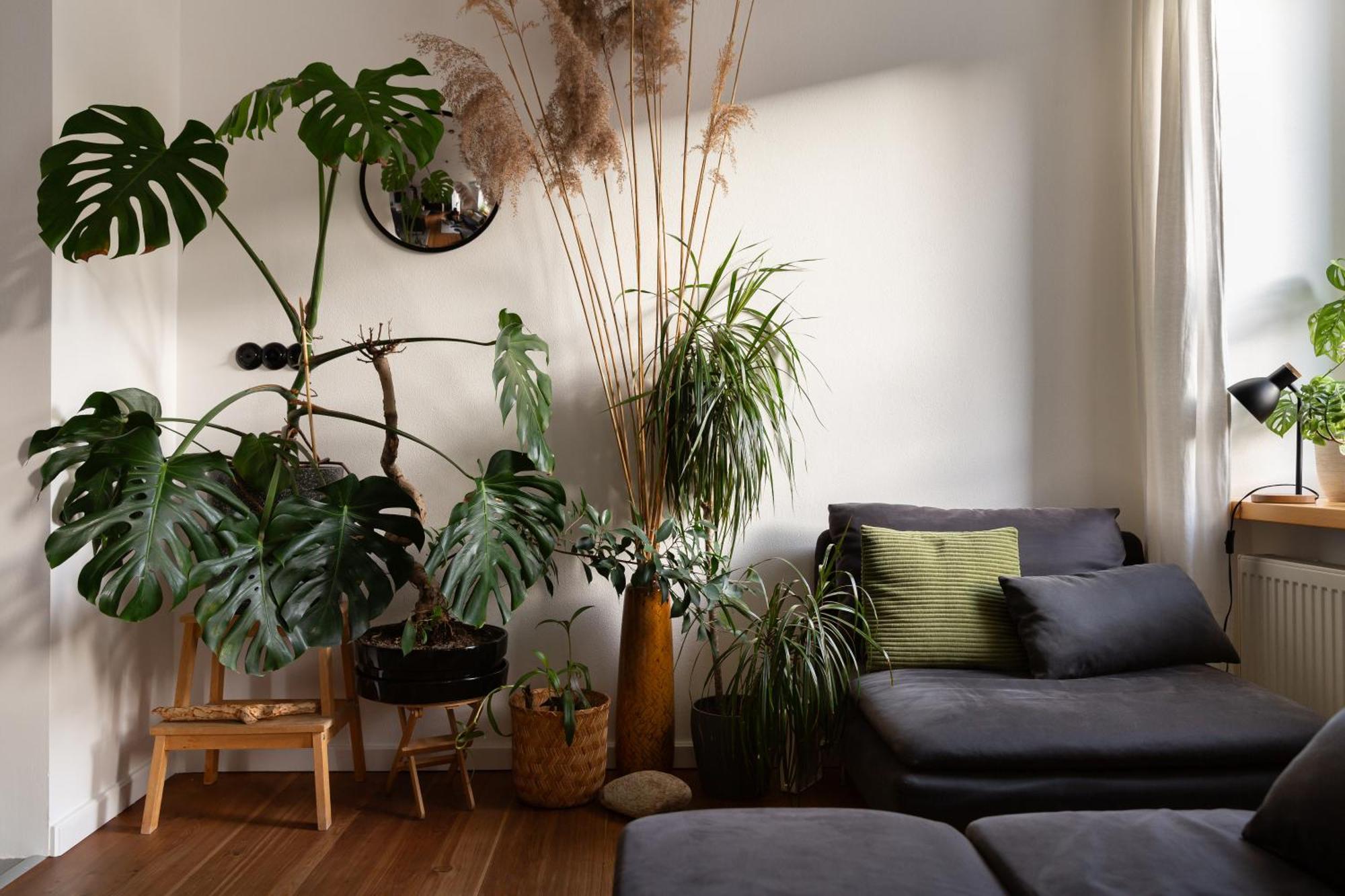 Evergreen - Old Town Spacious Stylish Apartment With Ac And One And A Half Bath, Baby & Kid- Friendly Bratislava Exteriör bild
