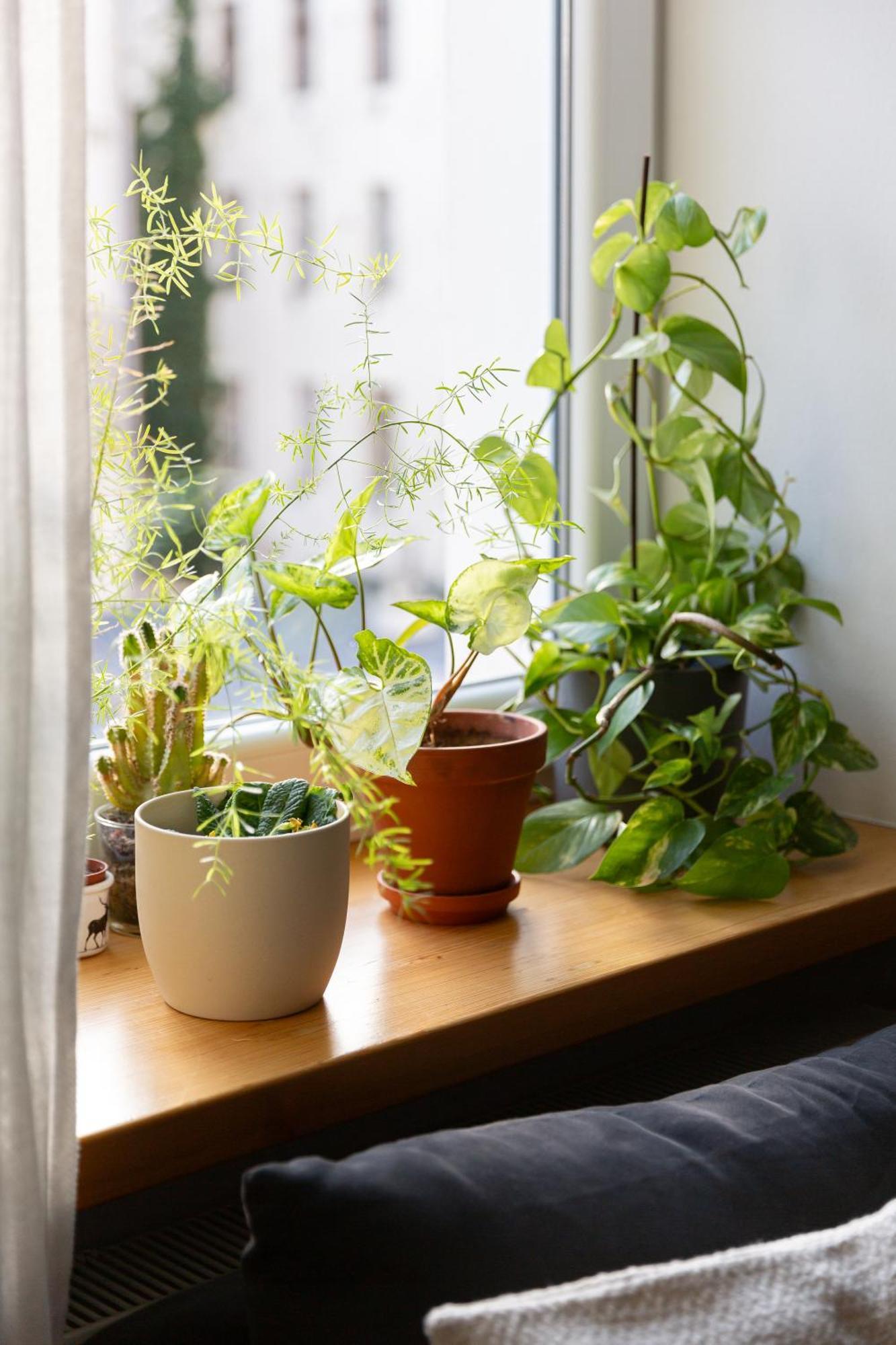 Evergreen - Old Town Spacious Stylish Apartment With Ac And One And A Half Bath, Baby & Kid- Friendly Bratislava Exteriör bild